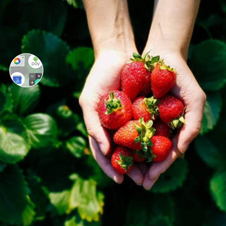 google android nougat 7 1 14550651 10153721307340356 142668055 o