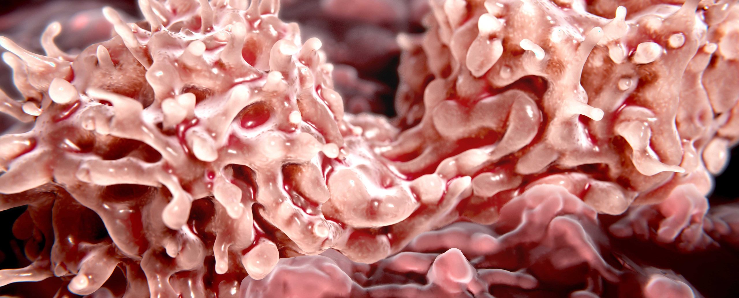 Stem Cells