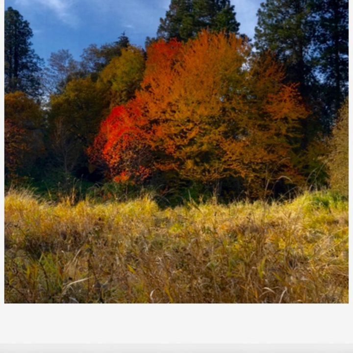 blurb photo book app books ios1