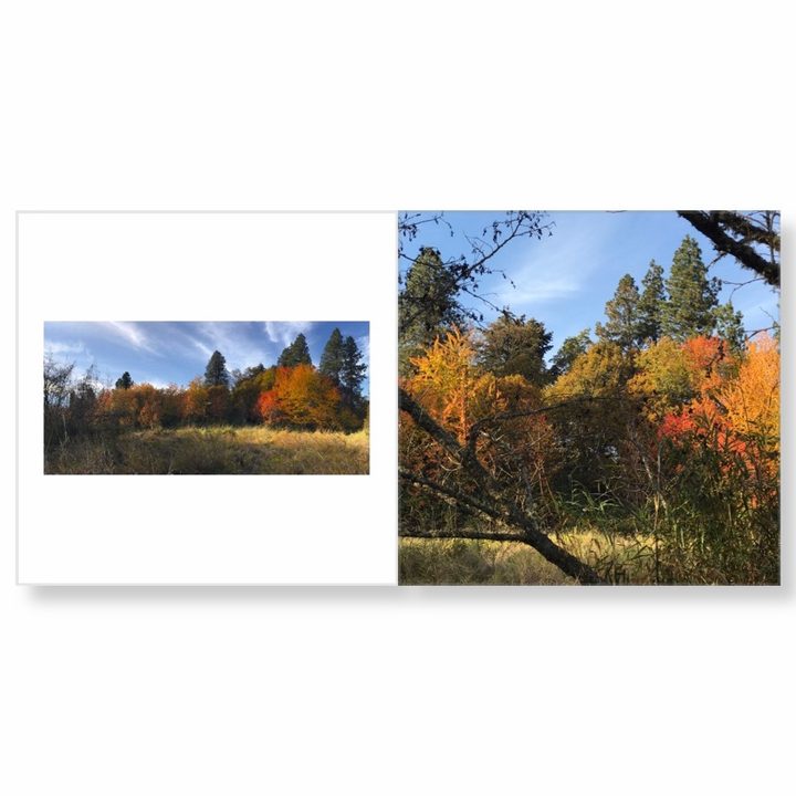 blurb photo book app books ios4