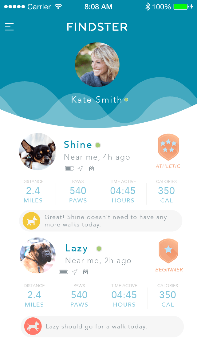 findster duo gps pet tracker no fees home
