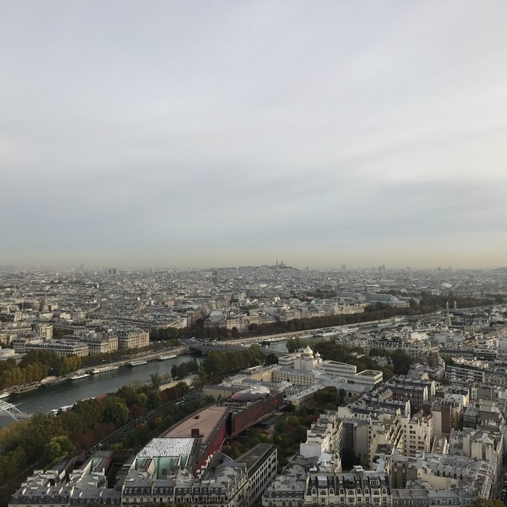 google pixel vs iphone 7 plus camera