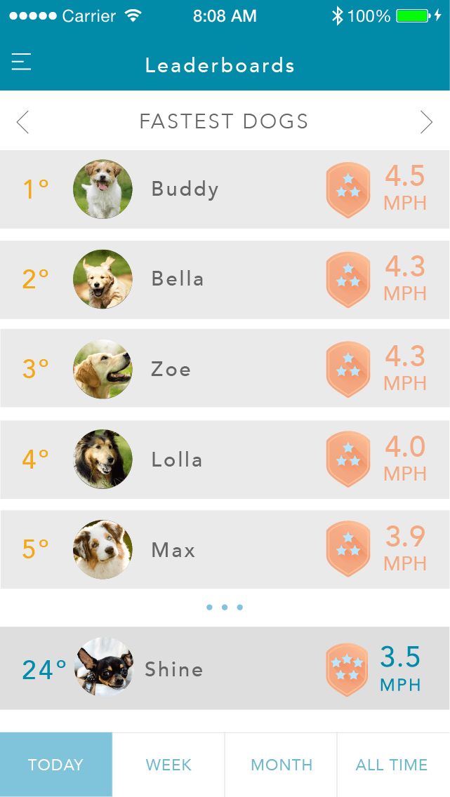 findster duo gps pet tracker no fees leaderboard