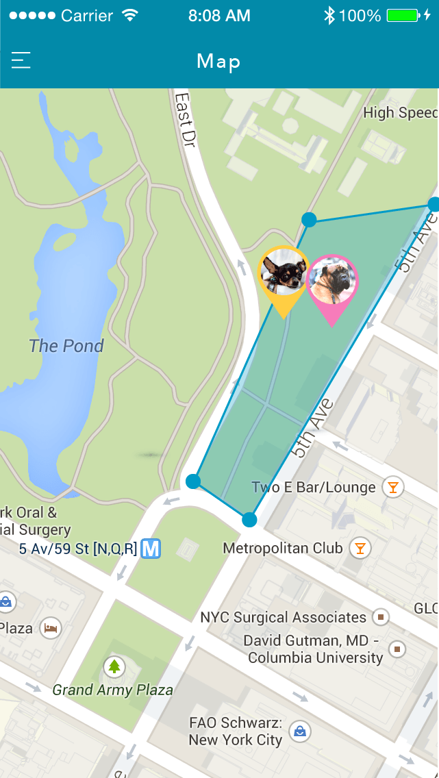 findster duo gps pet tracker no fees map