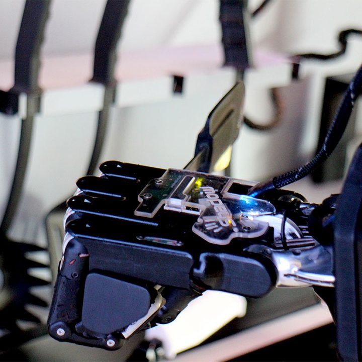 moley robotics