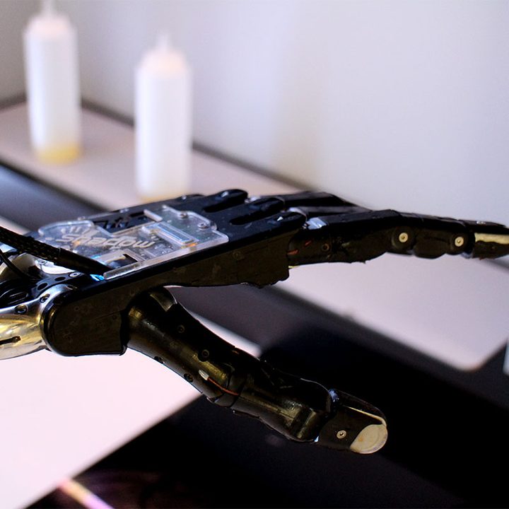 moley robotics