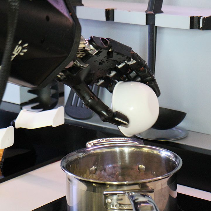 moley robotics
