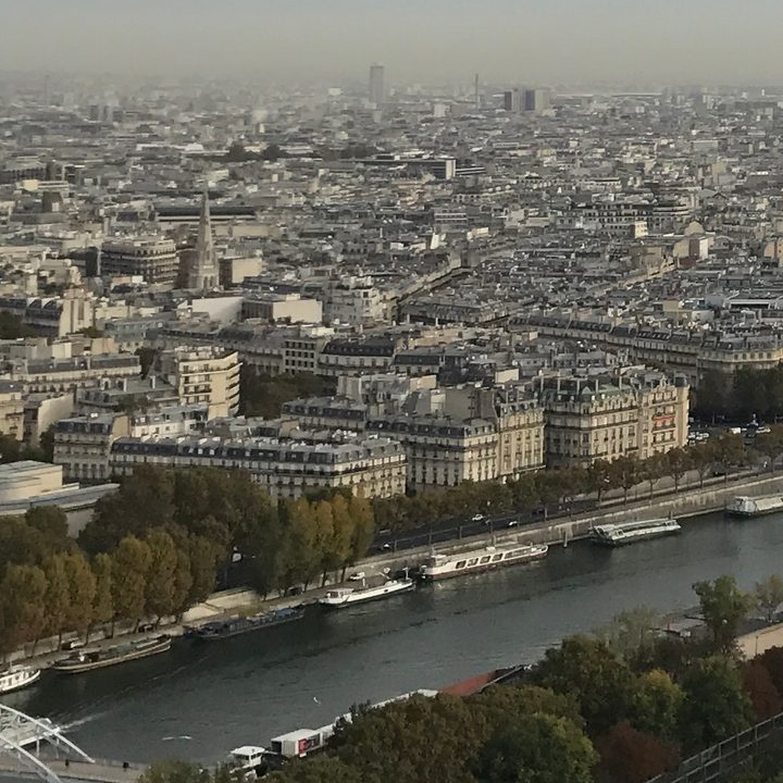 google pixel vs iphone 7 plus camera crop 1