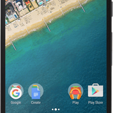 nexus