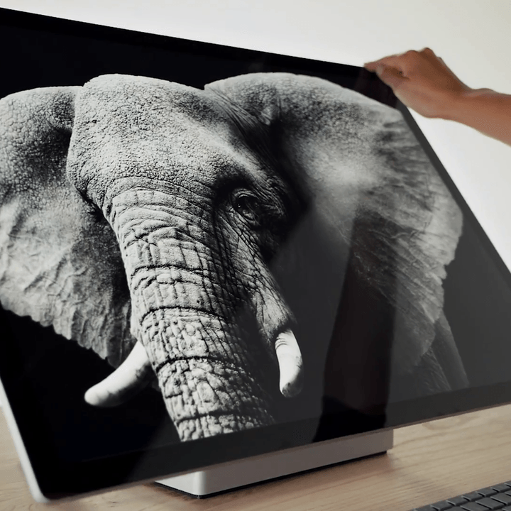 Surface Studio