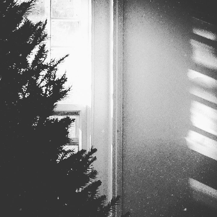 This abstract photo from Flickr user Clarice Barbato-Dunn shows a moodier side of the season.