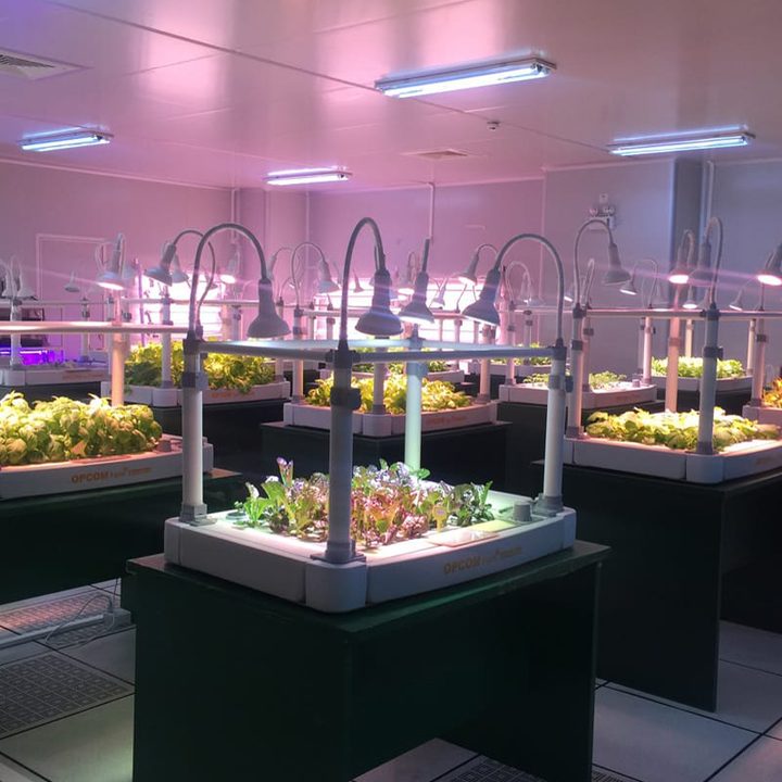 growbox1