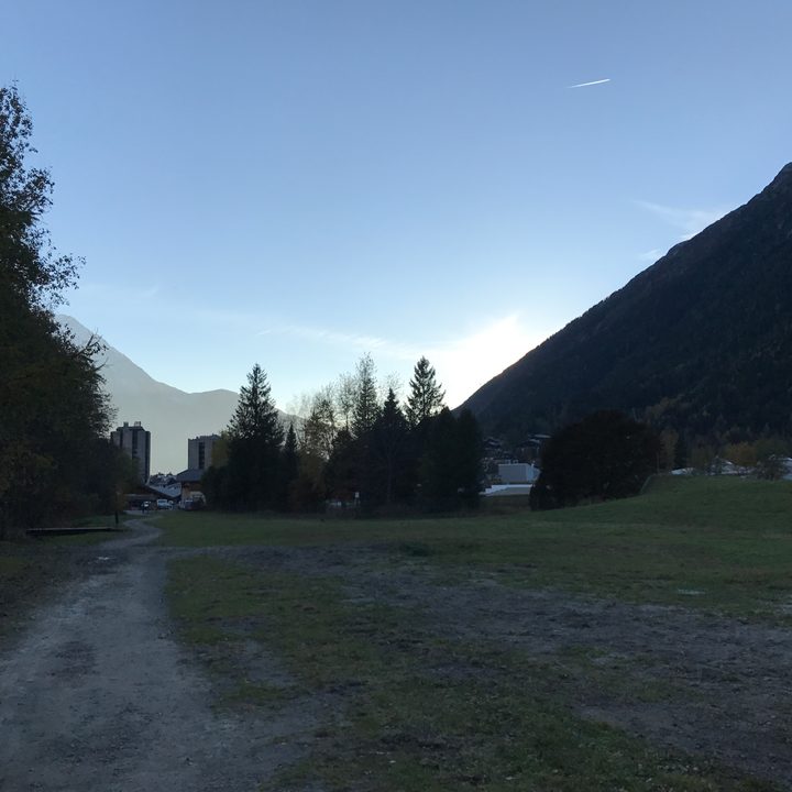 google pixel vs iphone 7 plus camera