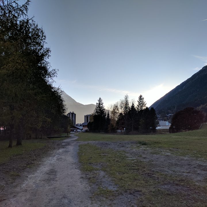 google pixel vs iphone 7 plus camera