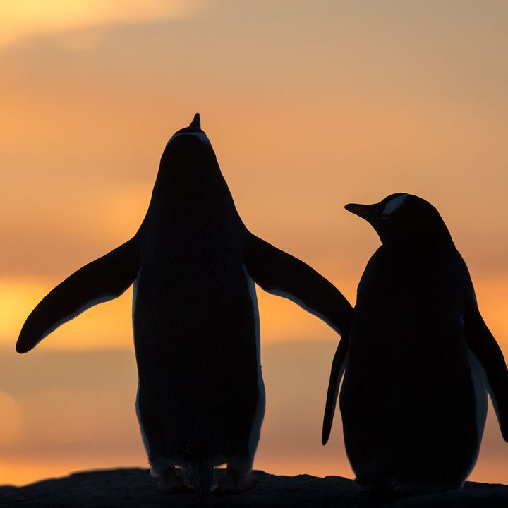 how to photograph the arctic with joshua holko interview h9p8720 edit