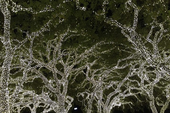Emmanuelle Bourgue shows how a horizontal image works better for scenery.