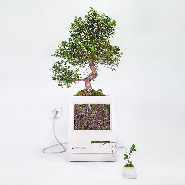 plant-your-mac-macintosh-classic