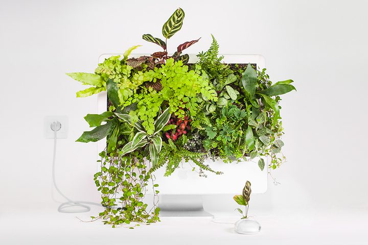 plant-your-mac-imac-g5