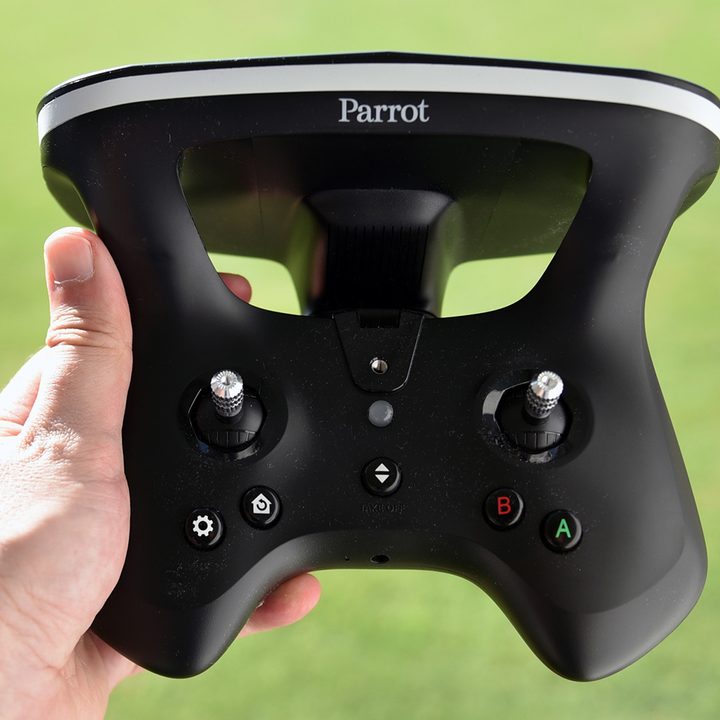 Parrot Disco