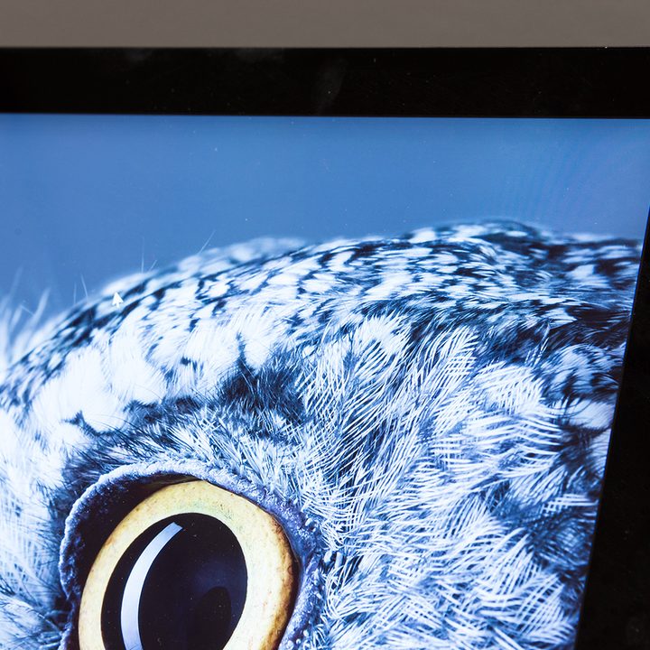 Microsoft Surface Studio