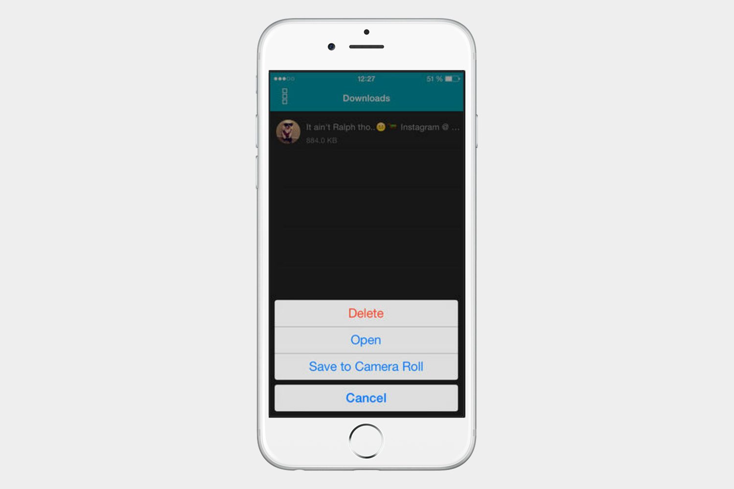 vine-downloader-ios