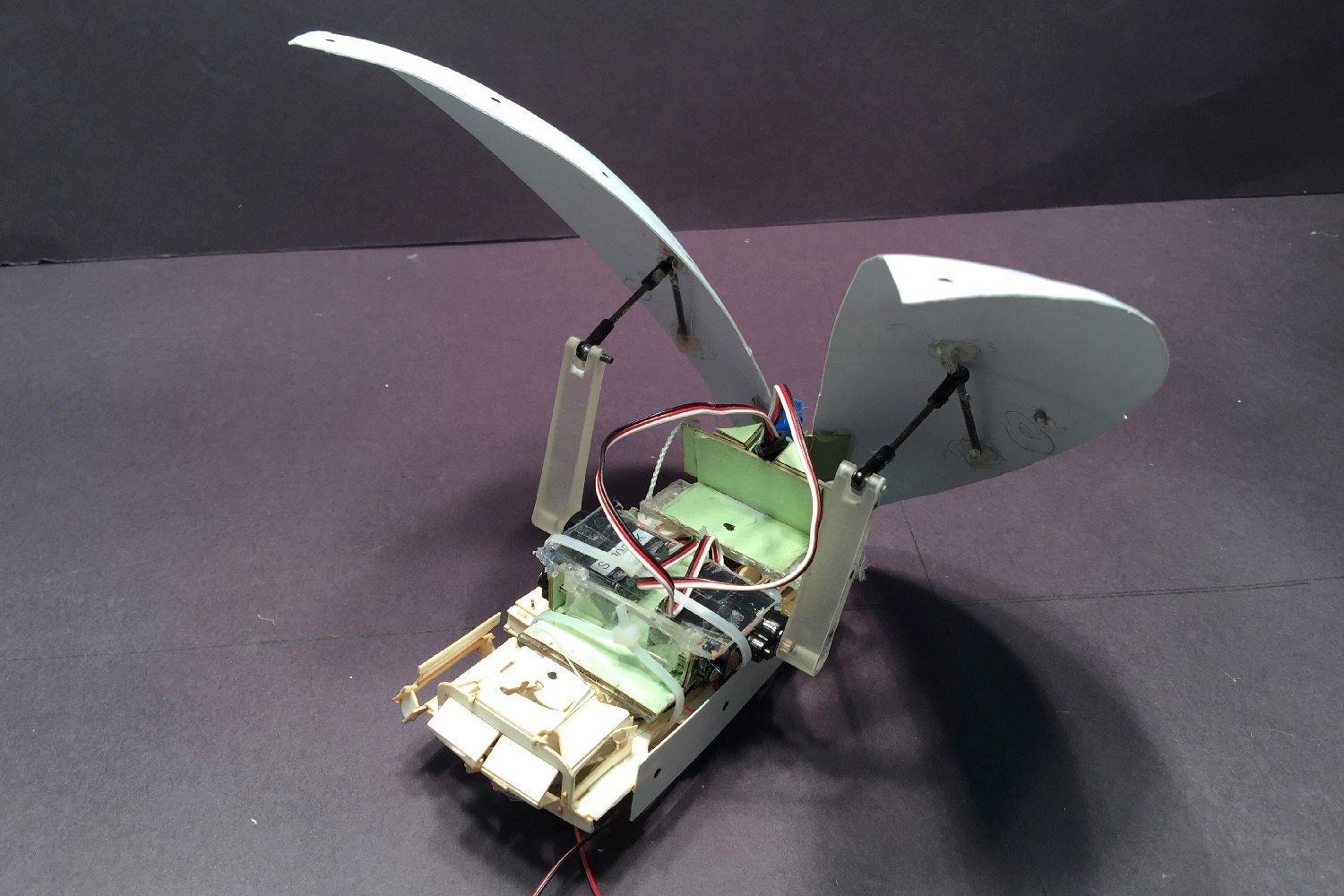 cockroach robot flaps its wings cockroach1