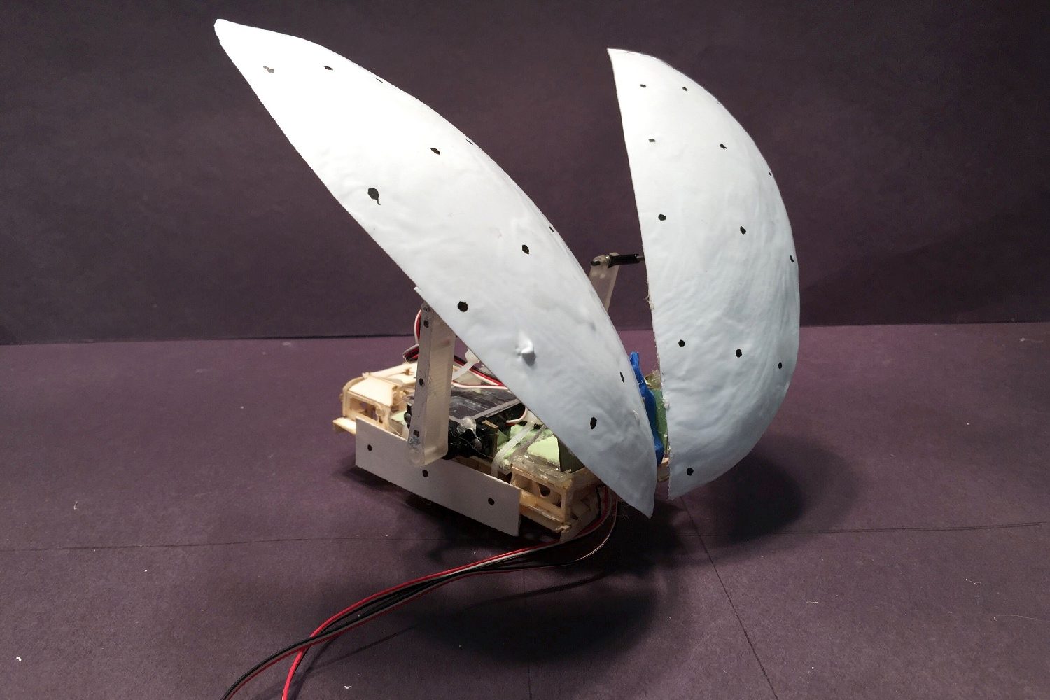 cockroach robot flaps its wings cockroach3