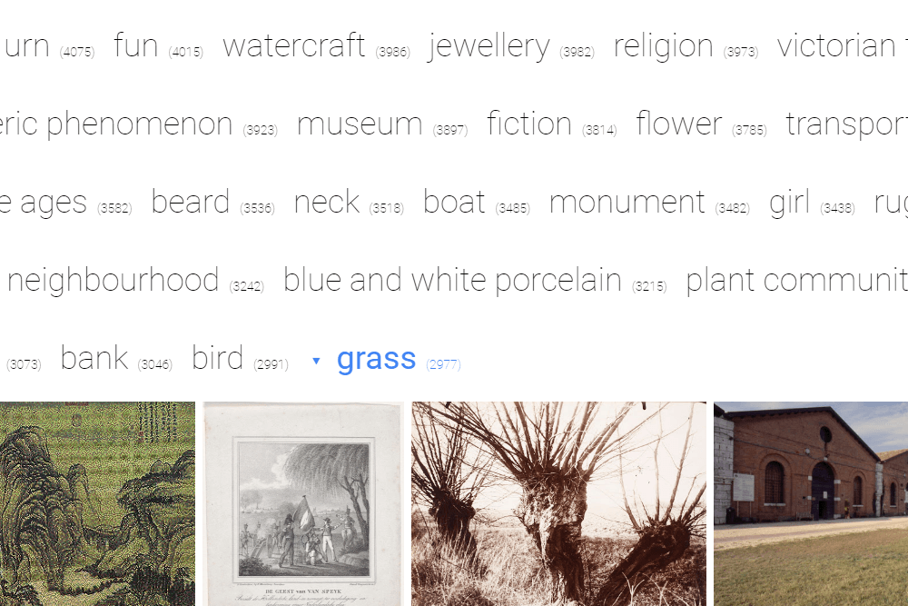 grass