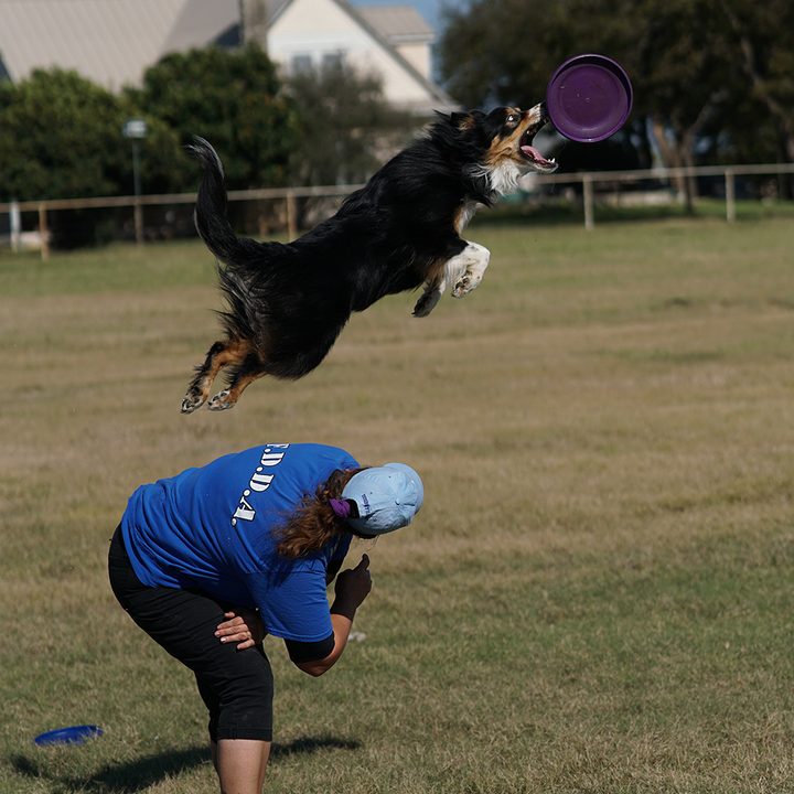 sony a6500 sample