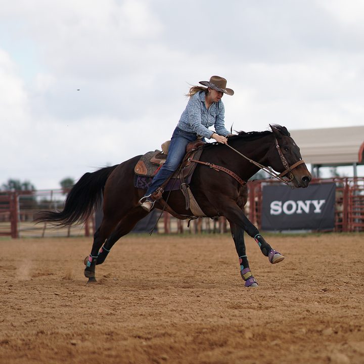 sony a6500 sample