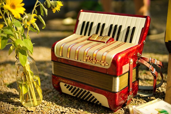 Meyer-Optik-Nocturnus50-Accordian
