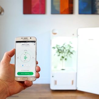 leaf-with-app