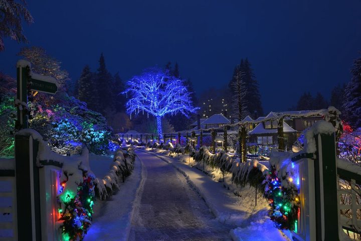 Magic of Christmas