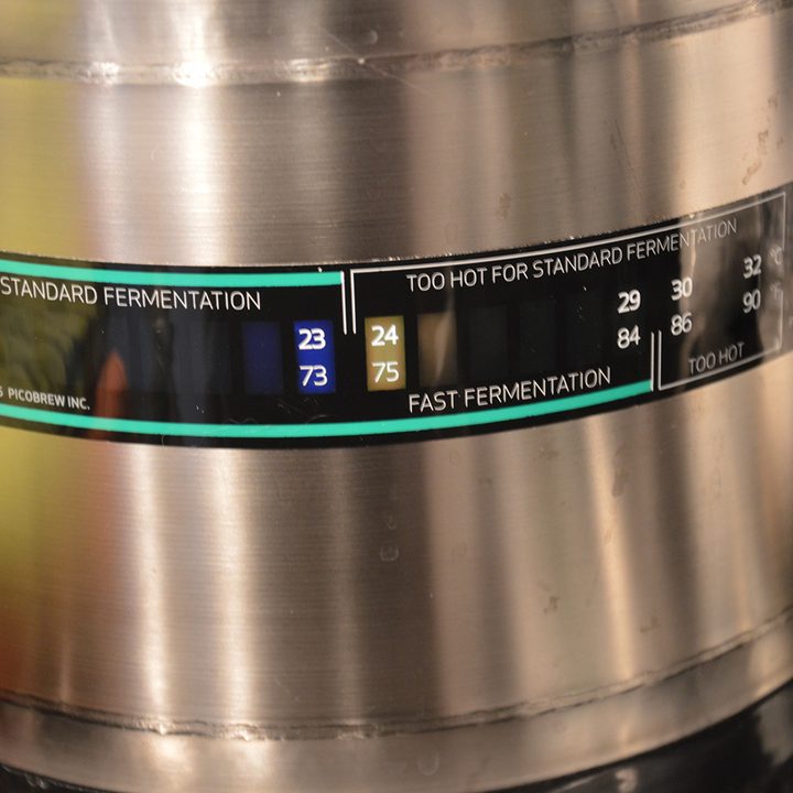 PicoBrew Pico review
