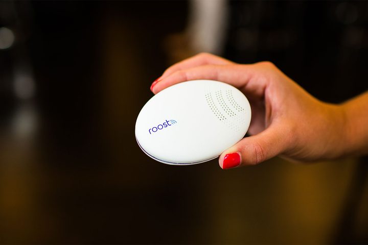 Roost Smart Water and Freeze Detector