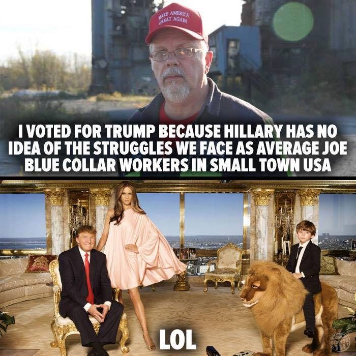 why donald trump is a media virus memes 001