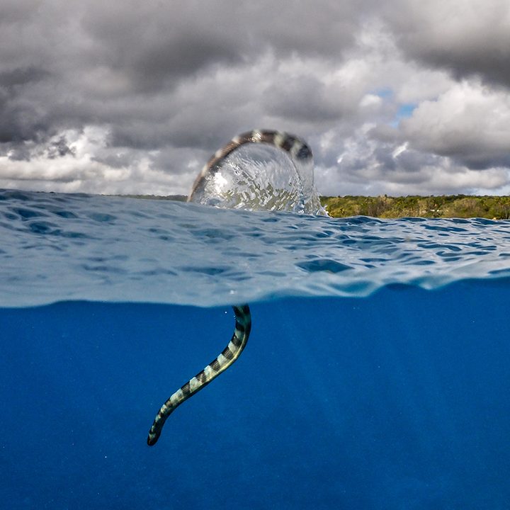 photographer jay dickmans adventurous spirit aitutaki cook islands lagoon of the island