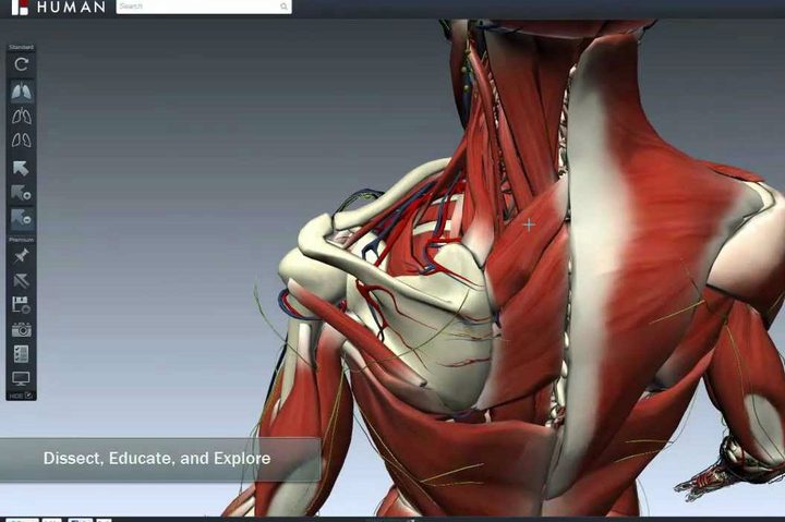 BioDigital Human