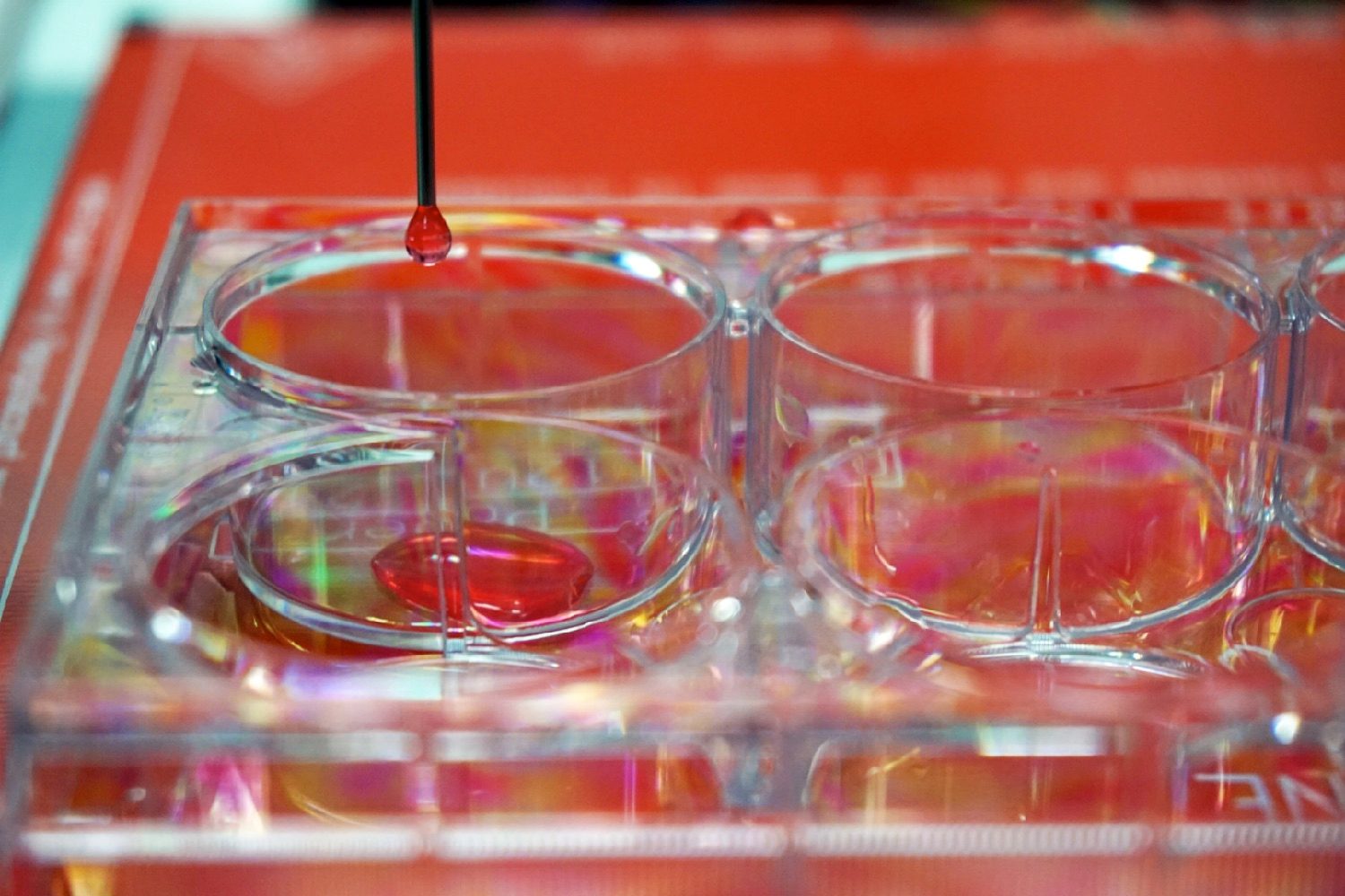 3d bioprinter skin bioimpresora uc3m 10