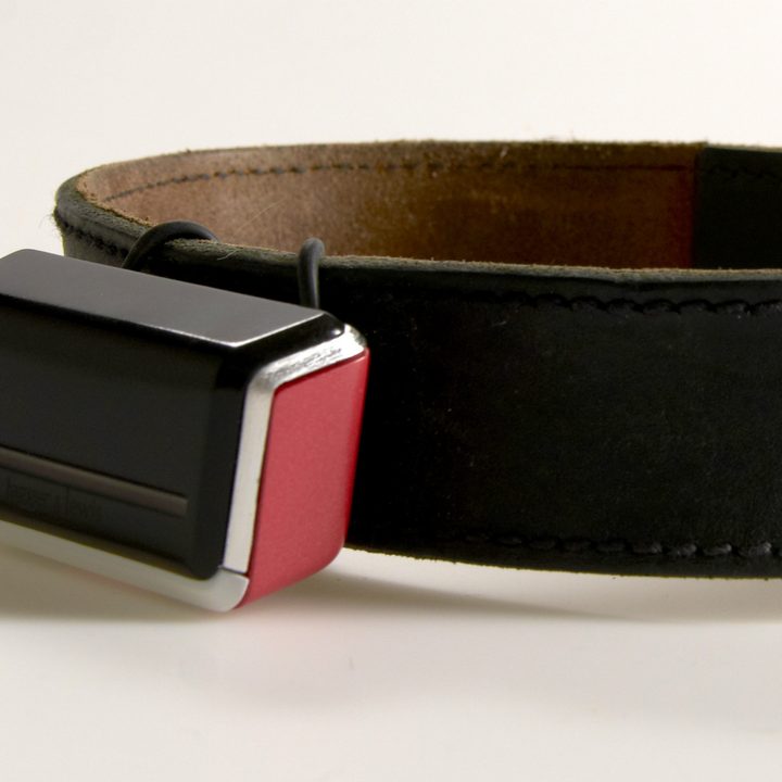 jagger lewis smart dog collar news device