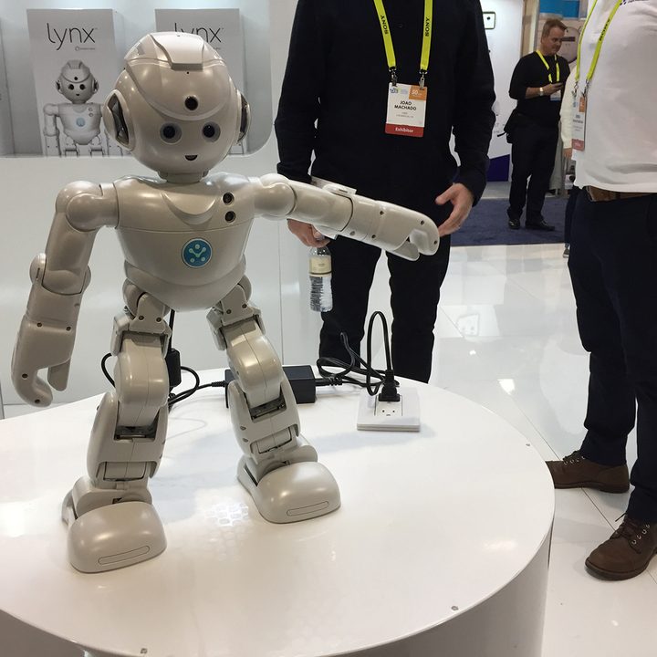 The Alexa-powered smart bot, Lynx.