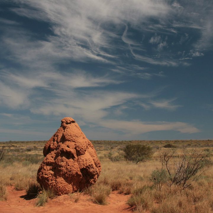 biomimicry examples termite mounds