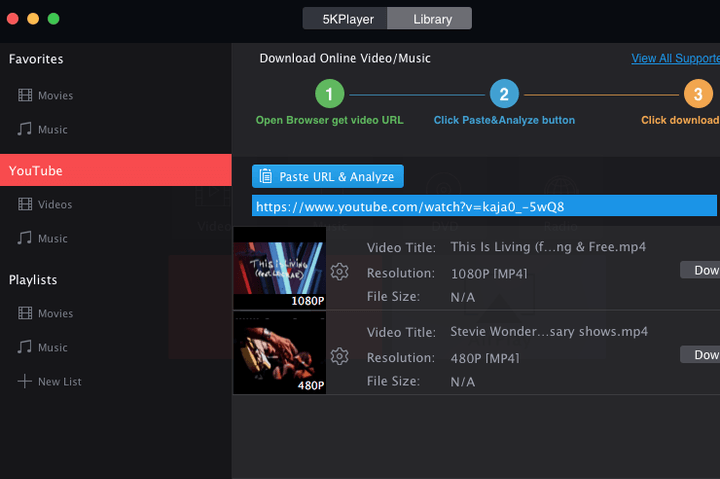 5KPlayer