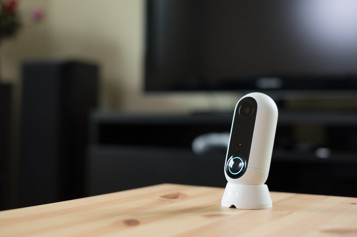 Canary Flex review
