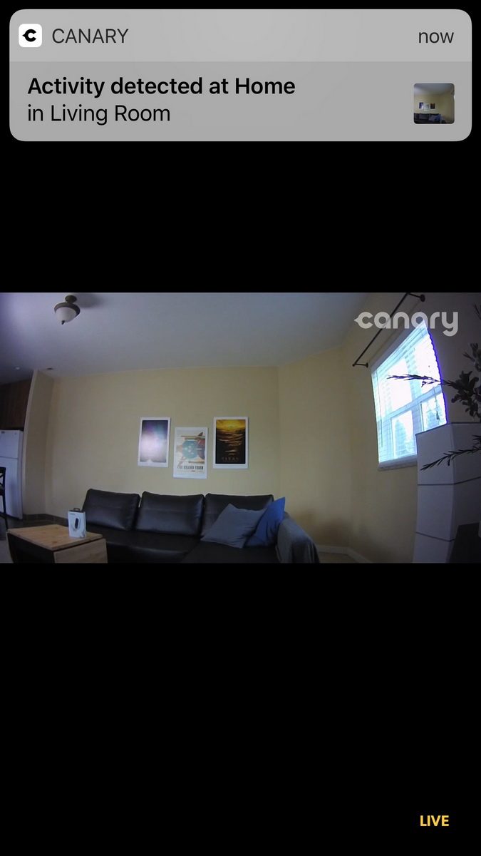 canary flex review screenshot 0001