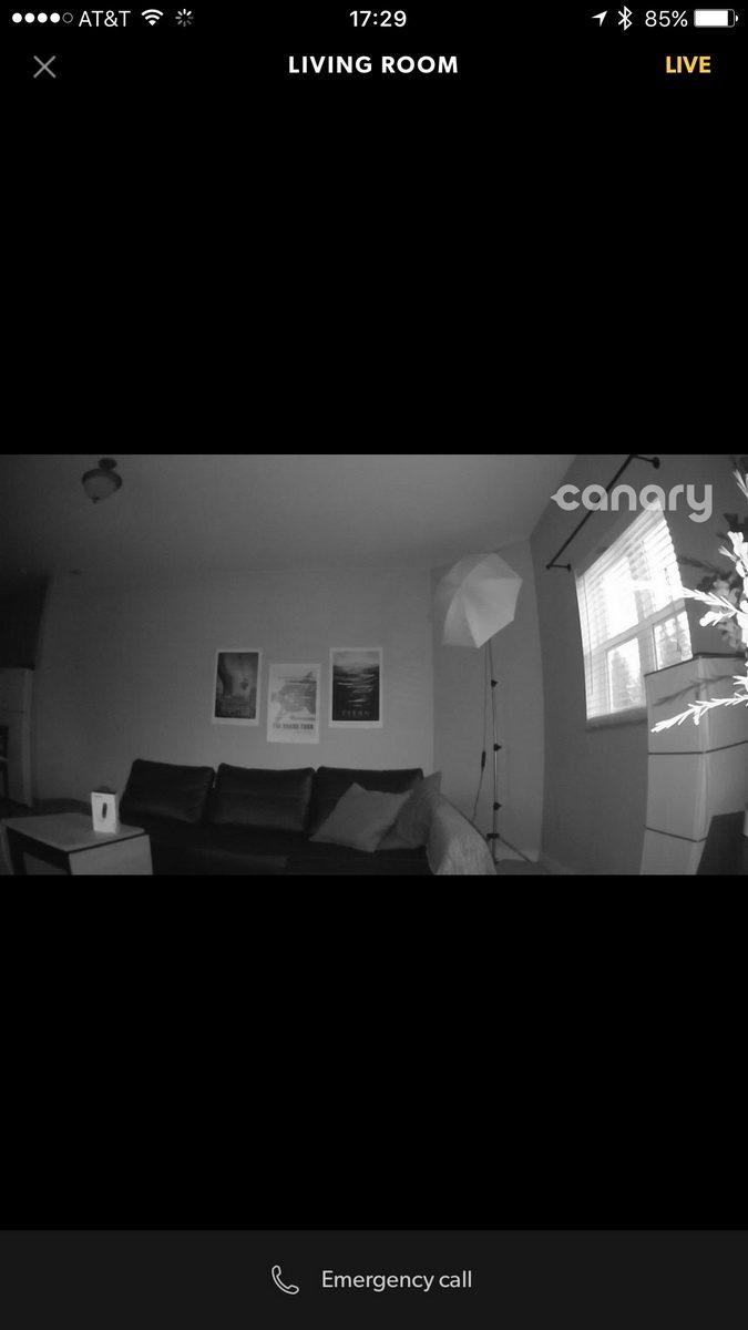canary flex review screenshot 0005