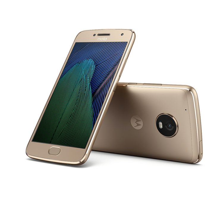 nokia 6 vs moto g5 plus fine gold front back alt