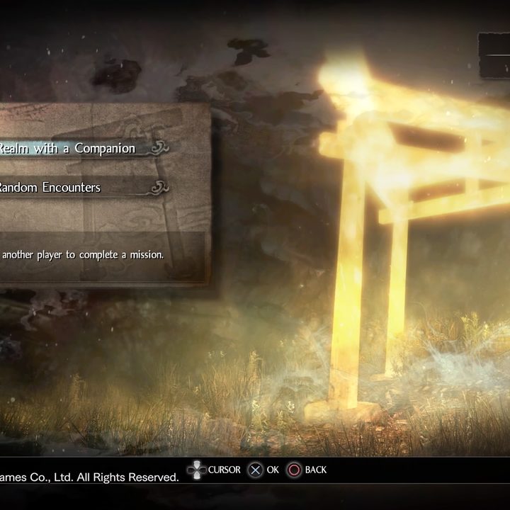 Nioh Co-op