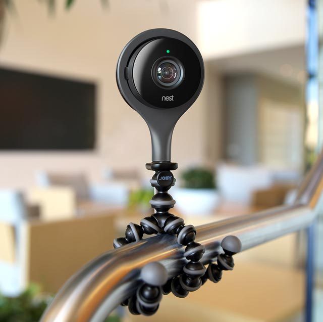 nest cam