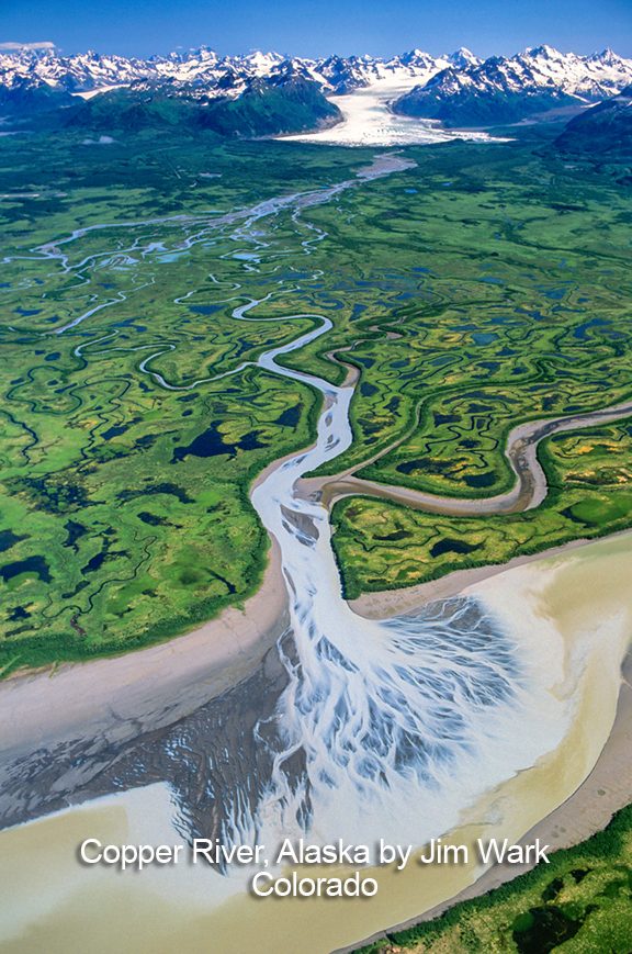 papa annual auction 2017 copper river delta